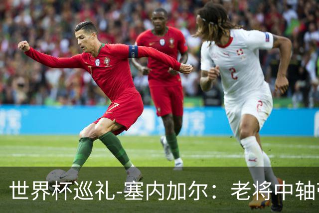 世界杯巡礼-塞内加尔：老将中轴带来安全感，非洲顶流前景可期！